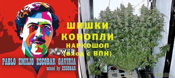 не бодяженный Богданович