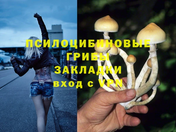 не бодяженный Богданович