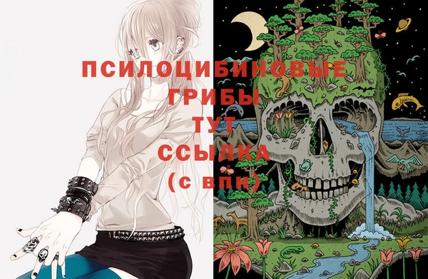 не бодяженный Богданович