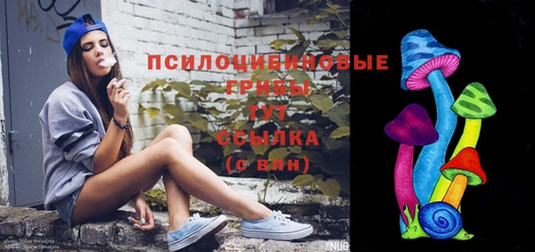 не бодяженный Богданович